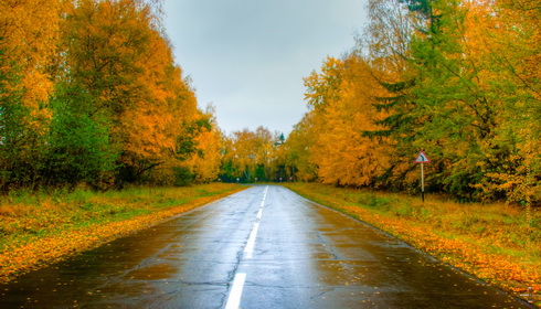 Осенняя дорога